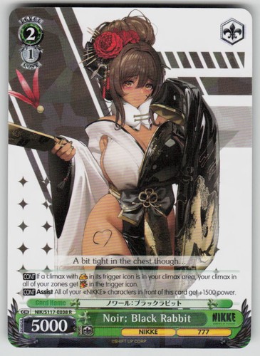 Noir black rabbit - rabbit, goddess