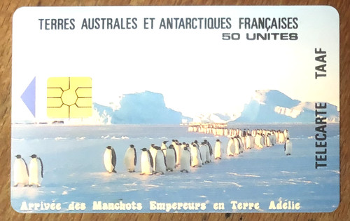 Taaf manchots empereur - manchots,