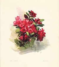 Menu Paquebot Augustus -