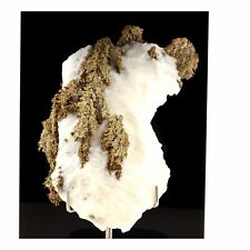 Argent natif. 810.5 ct. Imiter Mine, Drâa-Tafilalet, Maroc.