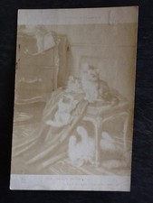 CP SALON PARIS JEUNES EBATS PAR HUBER - PETITS CHATS - 35893