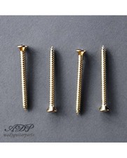 4 Vis Fixation Manche Chrome