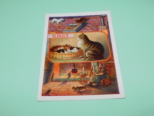 Image ancienne scolaire bon - ancienne,