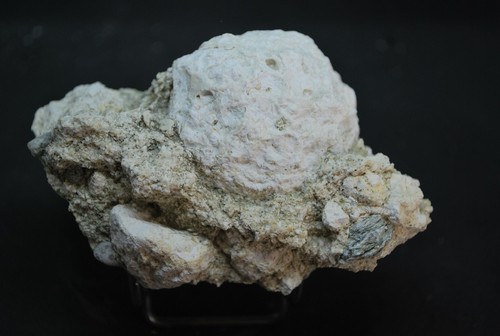Corail fossile cap corse - cap,