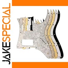 JakeSpecial – Custom