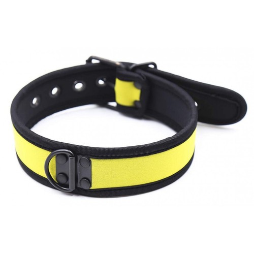 Collier laisse en - laisse,