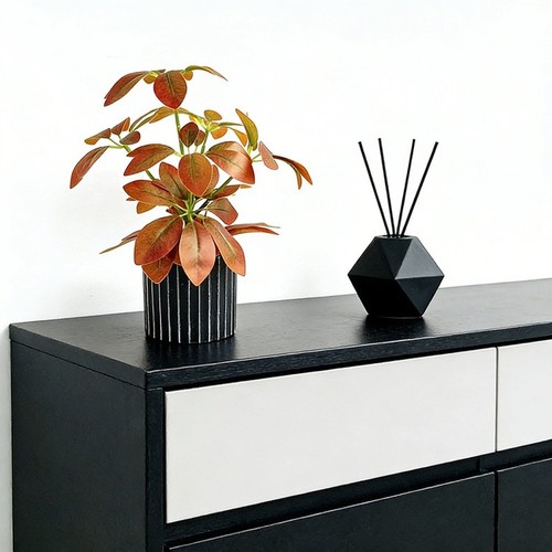 Plante compacte pot - plante,