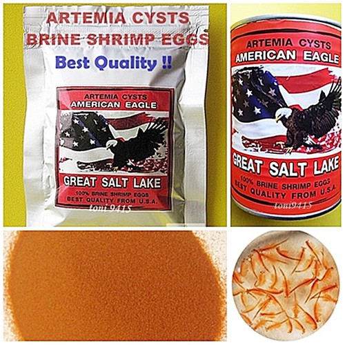 Brine shrimp egg hatch - egg,