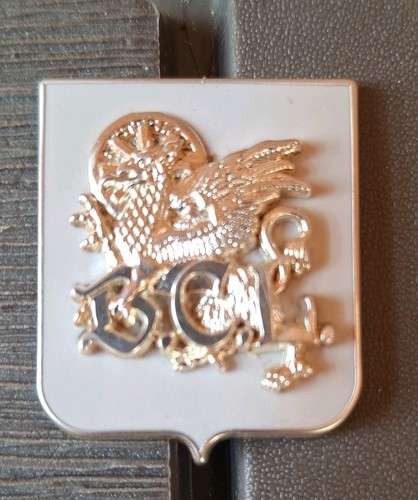 Insigne militaire 8era bcl - insigne,