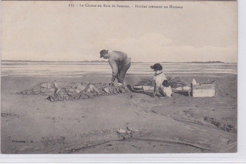 Chasse baie somme - la,