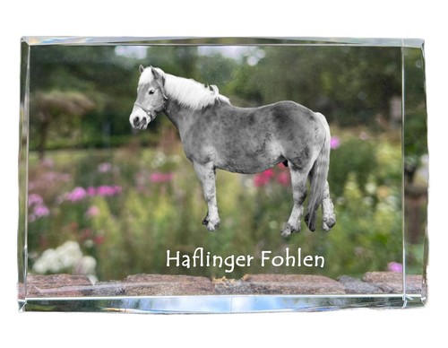 Haflinger fohlen pendentif - haflinger,