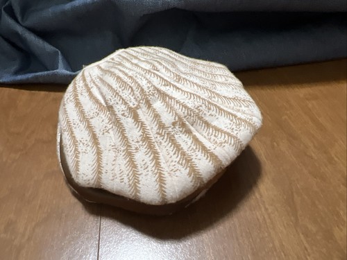Folkmanis folktails scallop - folkmanis,