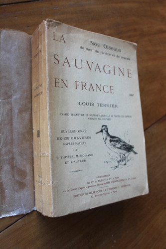 Chasse oiseaux la - -,