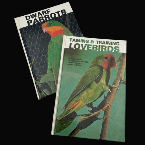 Dwarf parrots taming - parrots, &
