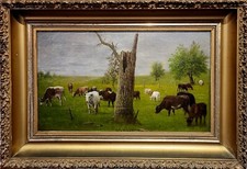 Barton Pierre Hays-Cows