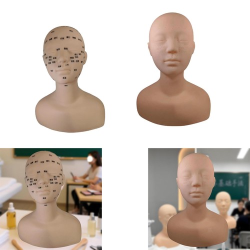 Tête mannequin - tête, de