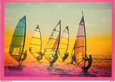 Sport - Planche à Voile - CPM