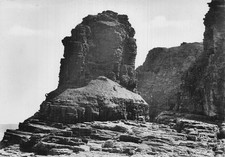 22 CAP FREHEL LA FAUCONNIERE