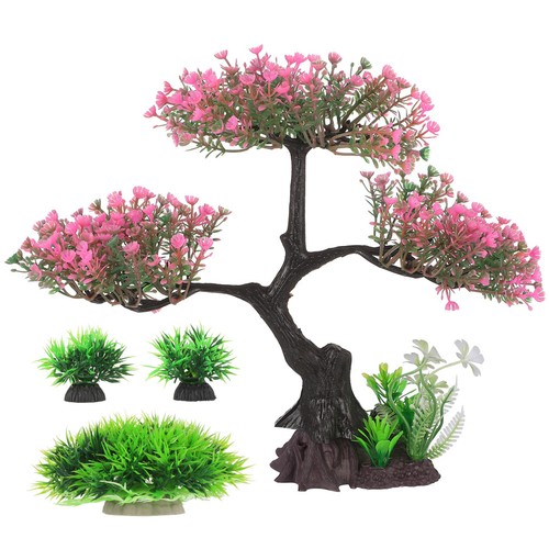 Ensemble eau plantes - d'eau,