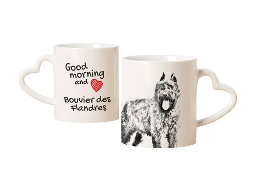 Bouvier des flandres - bouvier, tasse
