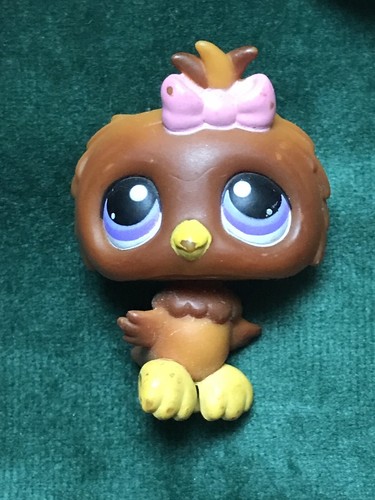 Petshop hibou 354 - 🌺petshop, 354🌺