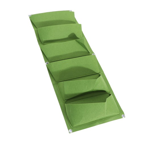 Pockets garden herb - ,
