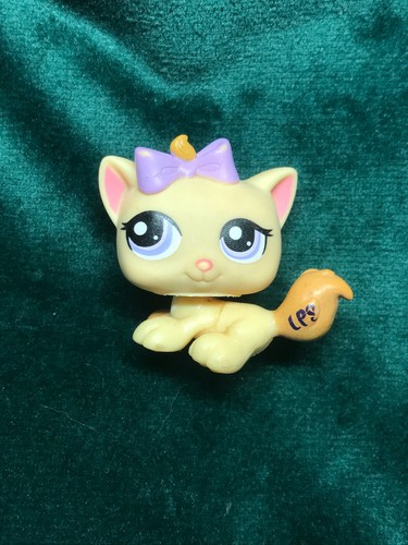🌺Petshop chaton 1337🌺