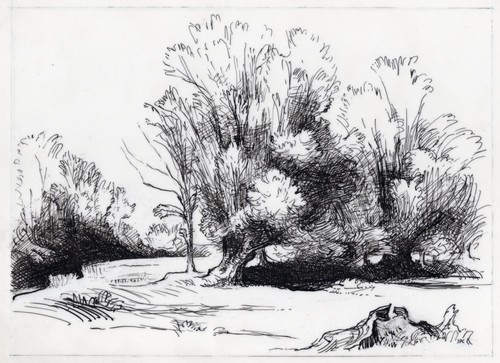 Jean pierre cornet arbres - cornet/,