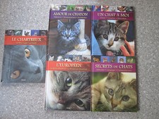 Secrets Chats Amour Chaton