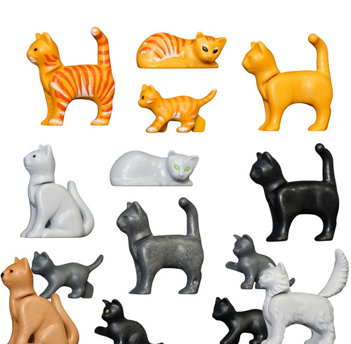 Playmobil chat chats chatons