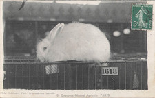 75 PARIS CONCOURS GENERAL