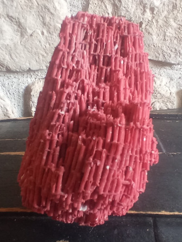 Corail rouge en forme de - corail,