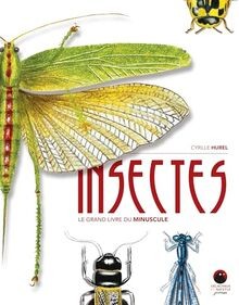 Insectes grand livre du - insectes:,