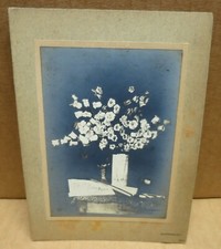 NATURE MORTE AUX CAMPANULES  photographie artistique photo Pele-Mele 1904