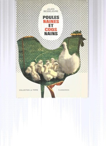 Poules naines coqs nains - poules,