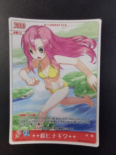 Hayate the combat bulter - hayate,