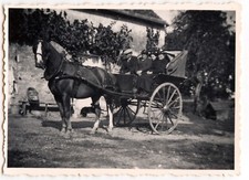 Promenade en carriole cheval - photo ancienne an. 1930 40