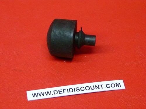 Silentbloc moteur