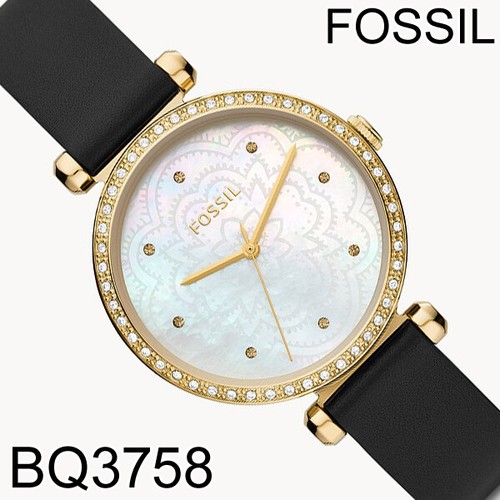 Nib fossil bq3758 - fossil, tillie