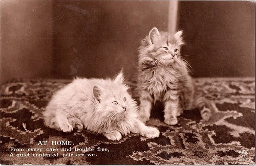 Carte postale rppc - postale, photo