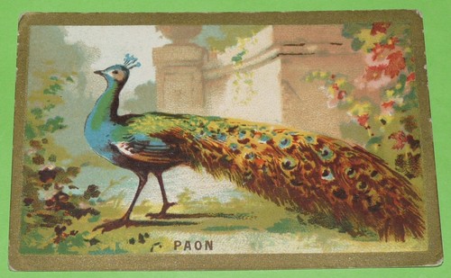 Chromo 1910 1925 - chromo, 1910-1925
