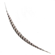 Plume gouttière de faisan