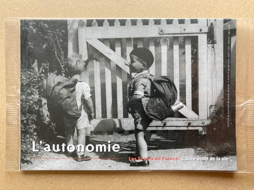 Cartes voeux scouts de - de,