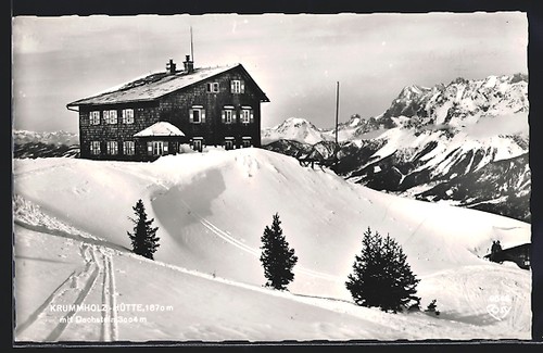 Cabane bois courbé - en, courbé,