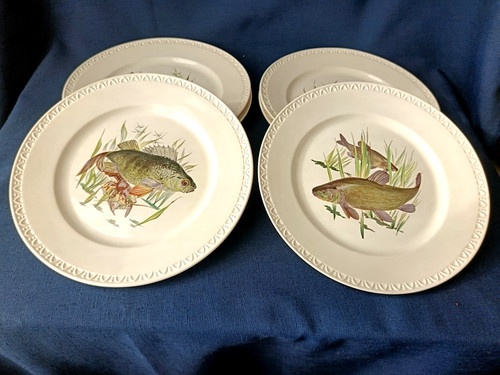 Assiettes plates poisson - assiettes,