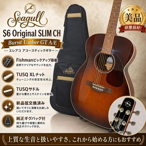 Acoustic guitar seagull - acoustic,
