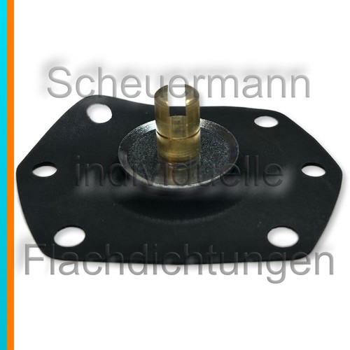 Membrane accélérateur pour - membrane,