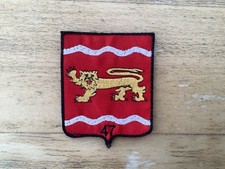 INSIGNE TISSU FRANCAIS ORIGINAL OCCASION N°22