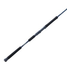 St. Croix Rogue V Spinning