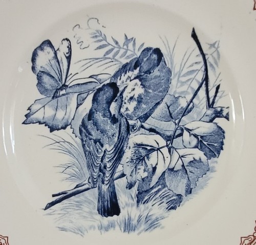 Assiette ancienne xixième - ancienne,
